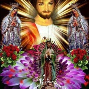 Meet your Posher, Amalia martínez lopez